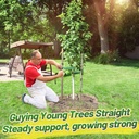 biubee-2425-lbs-strength-tree-straps---1-2.jpg