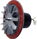 whitfield-exhaust-blower-motor-12050011--2.jpg