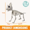 joyin-plastic-chihuahua-dog-skeleton-hal-5.jpg