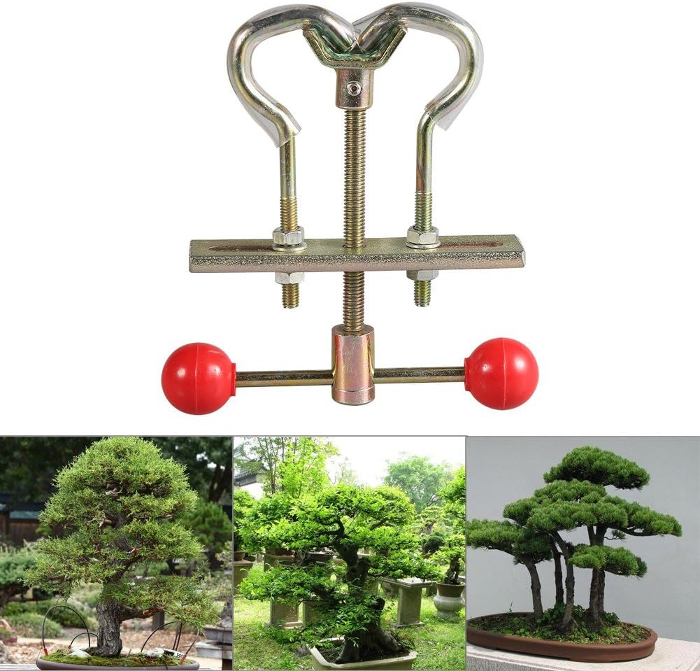 branch-bender-tool-bonsai-trees-branch-m-6.jpg