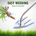 manual-weed-remover-tool-for-lawn-and-ga-2.jpg