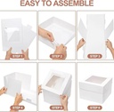 10-pieces-14x10x4-cake-box---cake-packin-5.jpg