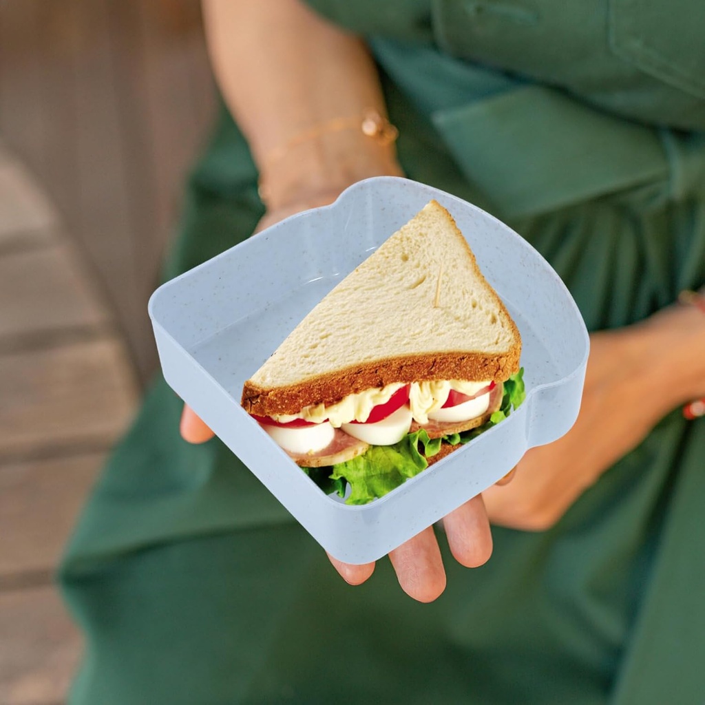 alipis-sandwich-storage-box-lid-airtight-2.jpg
