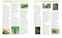 the-organic-gardener-s-handbook-of-natur-71KYQKjmvLL.jpg