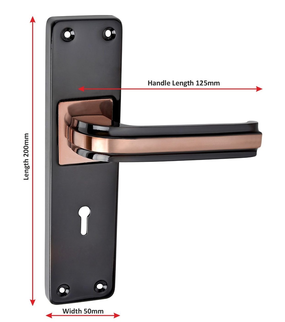 milton-iron-mortise-lock-set-with-rose-g-51rQTGRd3oL.jpg
