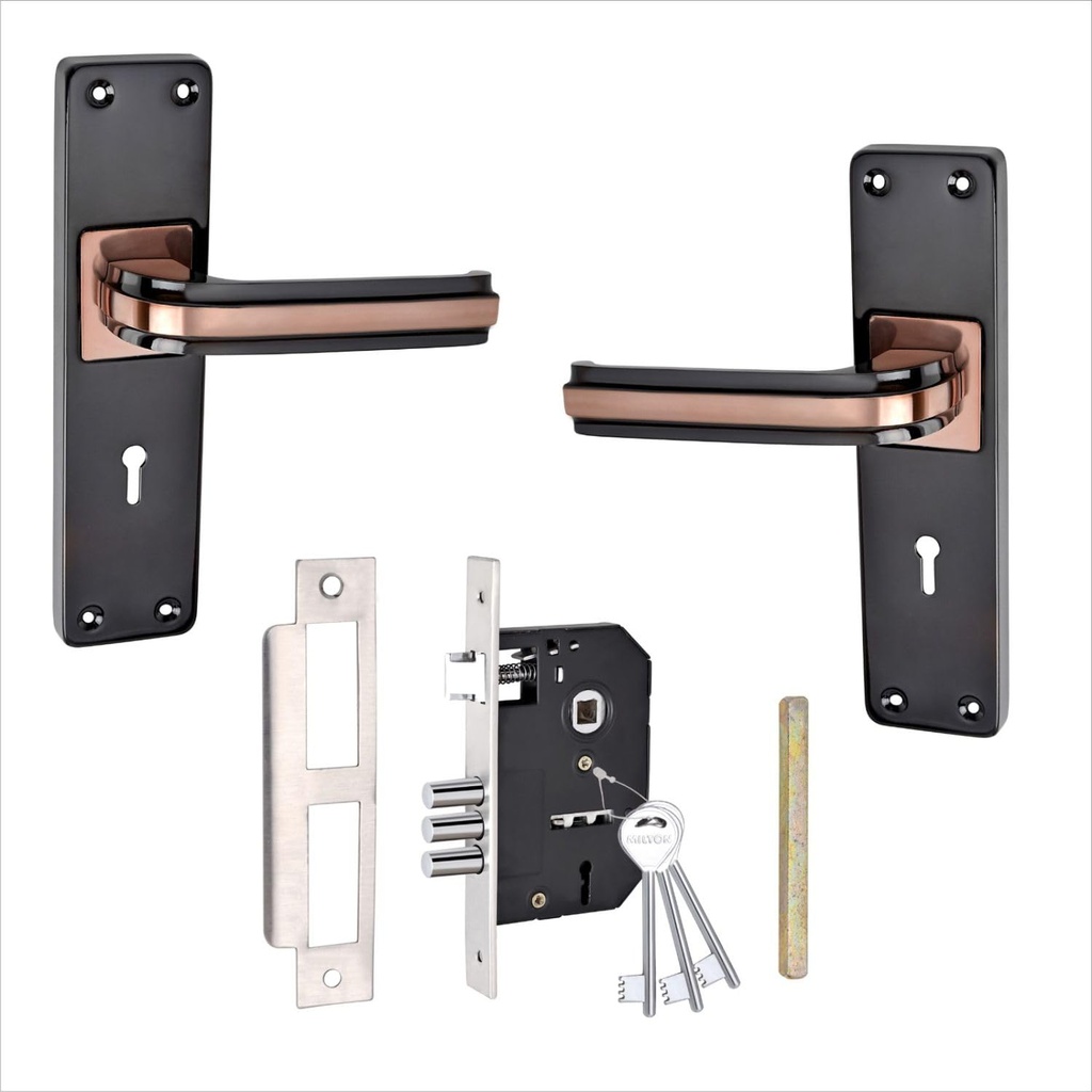 milton-iron-mortise-lock-set-with-rose-g-61oOb0B5OXL.jpg