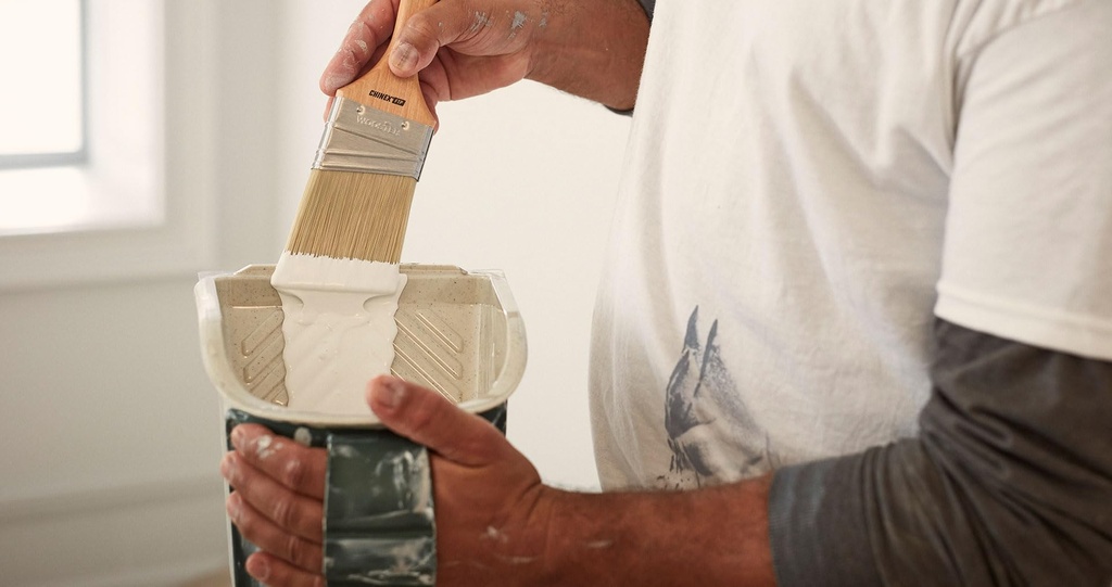 wooster-brush-8629-pelican-liner-5-pack--61u8Erk2VPL.jpg