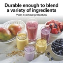 hamilton-beach-portable-blender-for-smoo-81Mkg2nAXfL.jpg