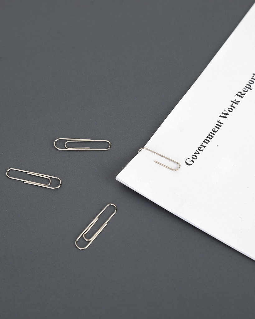 paperpal-paperclips-for-office-school-pe-71lQpfI5MIL.jpg