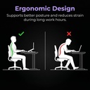 zebronics-ns2000-plus-laptop-stand-suppo-71MLo02iA5L.jpg