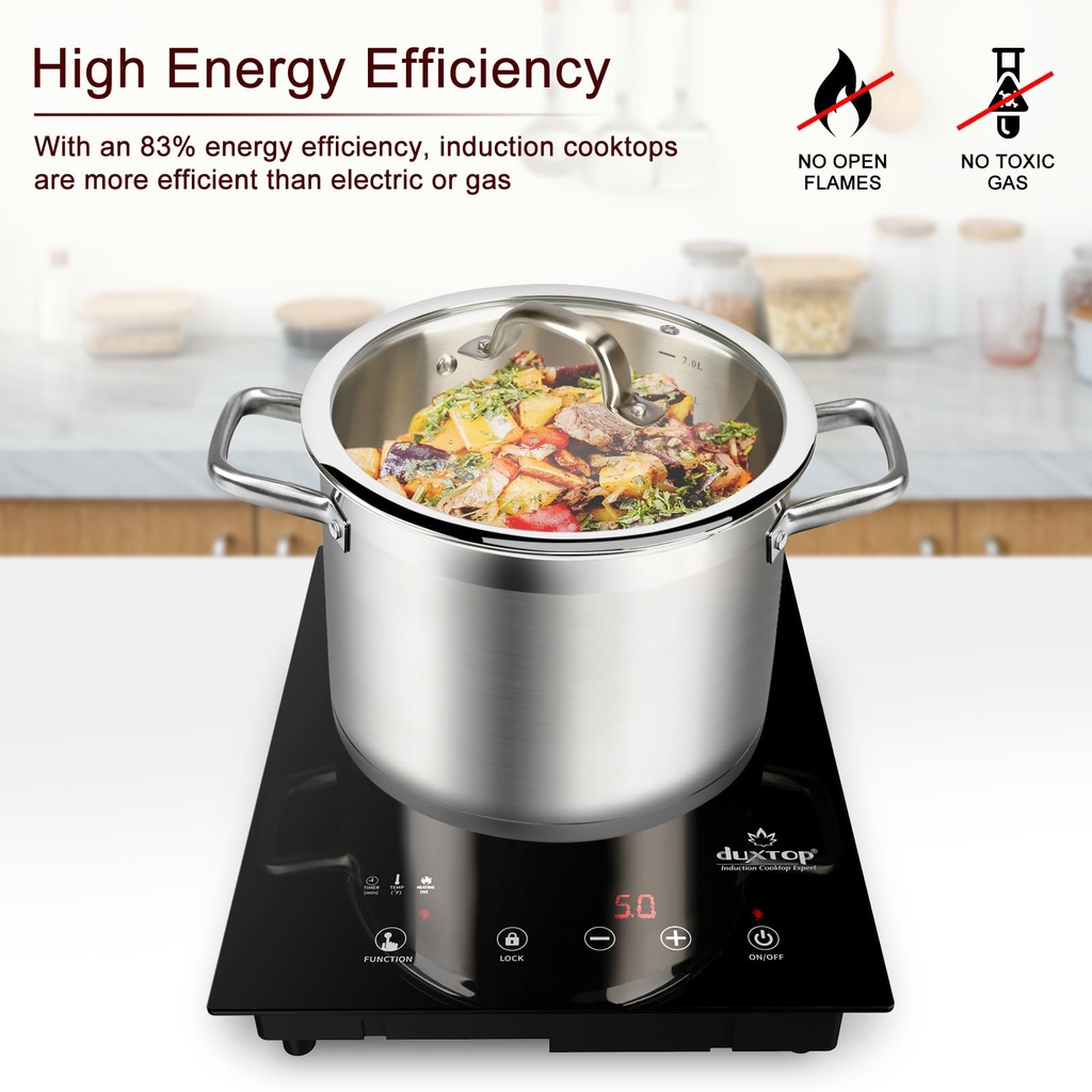 duxtop-built-in-induction-cooktop-portab-71UsgYnPDyL.jpg
