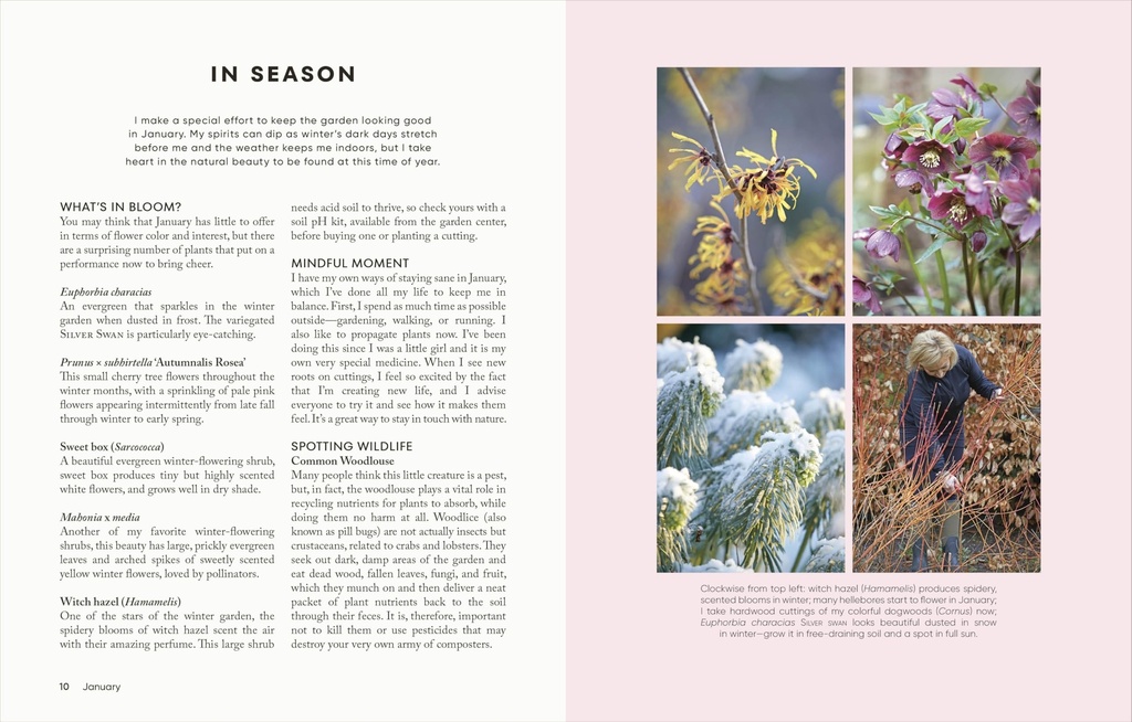 the-money-saving-garden-year-a-month-by--81gj-SaeGLL.jpg