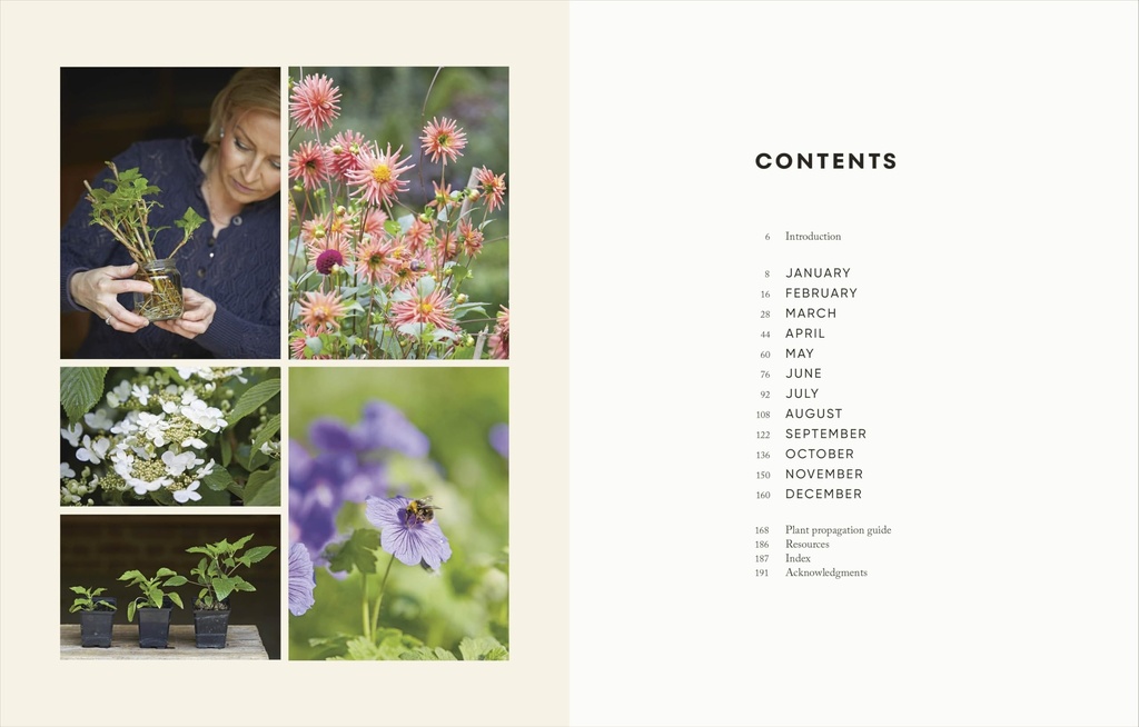 the-money-saving-garden-year-a-month-by--71I57z6WdyL.jpg