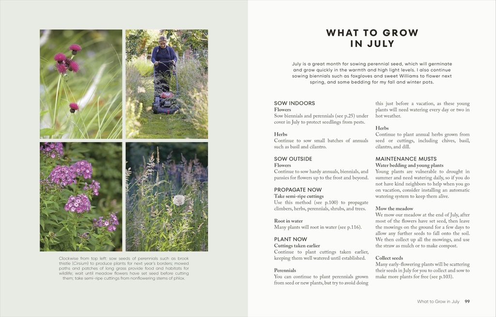 the-money-saving-garden-year-a-month-by--81oiupGkakL.jpg