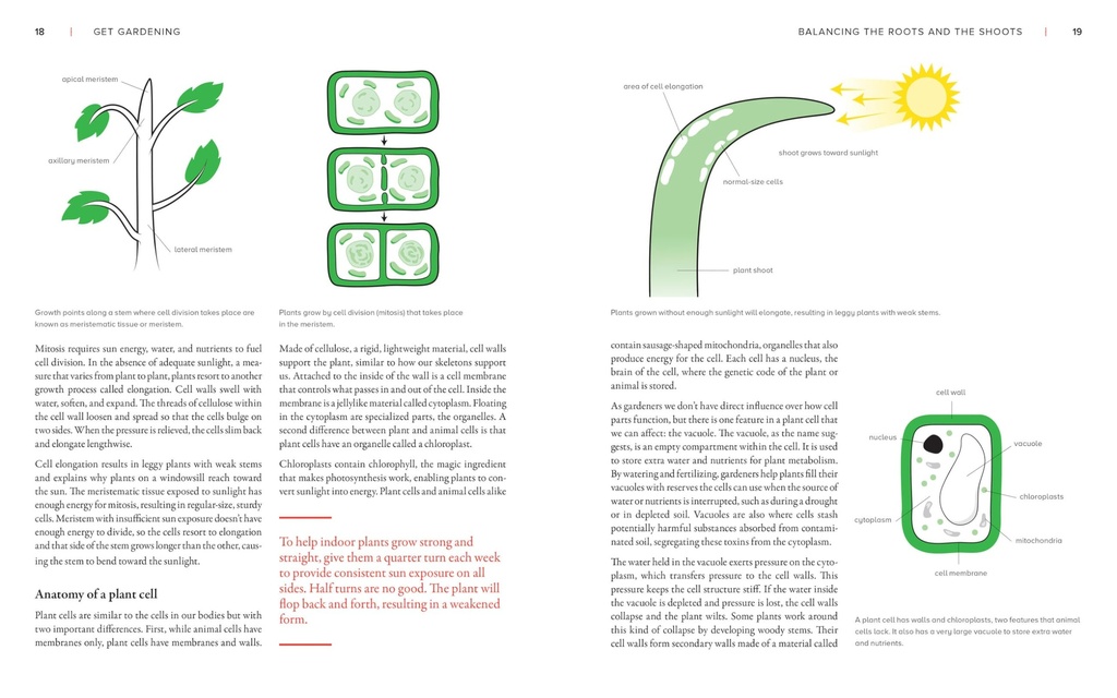 the-new-gardener-s-handbook-everything-y-81hRI1E-48L.jpg
