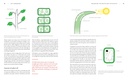 the-new-gardener-s-handbook-everything-y-81hRI1E-48L.jpg