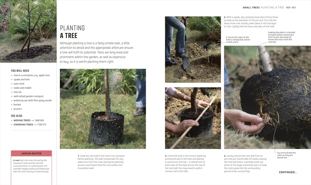 beginner-gardening-step-by-step-a-visual-81Nzv7OhN1L.jpg