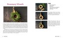 crafting-with-herbs-do-it-yourself-botan-81kb1oxNcCL.jpg