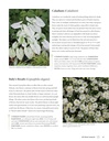 white-gardens-creating-magnificent-moonl-91gI9CiYg8L.jpg