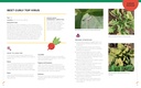 the-vegetable-garden-problem-solver-hand-81pQiFgjHTL.jpg