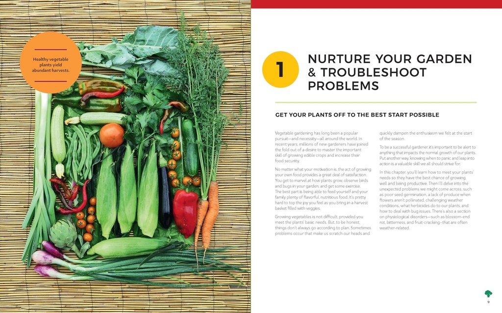 the-vegetable-garden-problem-solver-hand-91i661OzRbL.jpg