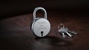 jammer-round-50-lock-6-lever-small-size--61Ja8Wz1UFL.jpg