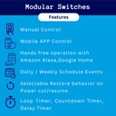 smarteefi-2-port-wifi-smart-switch-modul-61YXp6tELmL.jpg