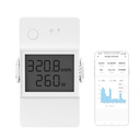 amicismart-wi-fi-smart-switch-20a-remote-51GUtWF4XhL.jpg