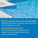 in-the-swim-super-algaecide-for-above-gr-2.jpg