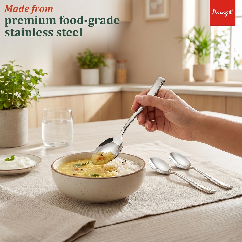 parage-stainless-steel-spoons-set-of-12--81HXDcXWDAL.jpg