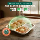 eco-soul-3-compartment-bagasse-meal-tray-81FzSmRWygL.jpg