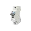 wipro-mcb-32a-spc-51oKqEEAvLL.jpg