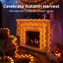 jackyled-halloween-string-lights-30-led--2.jpg