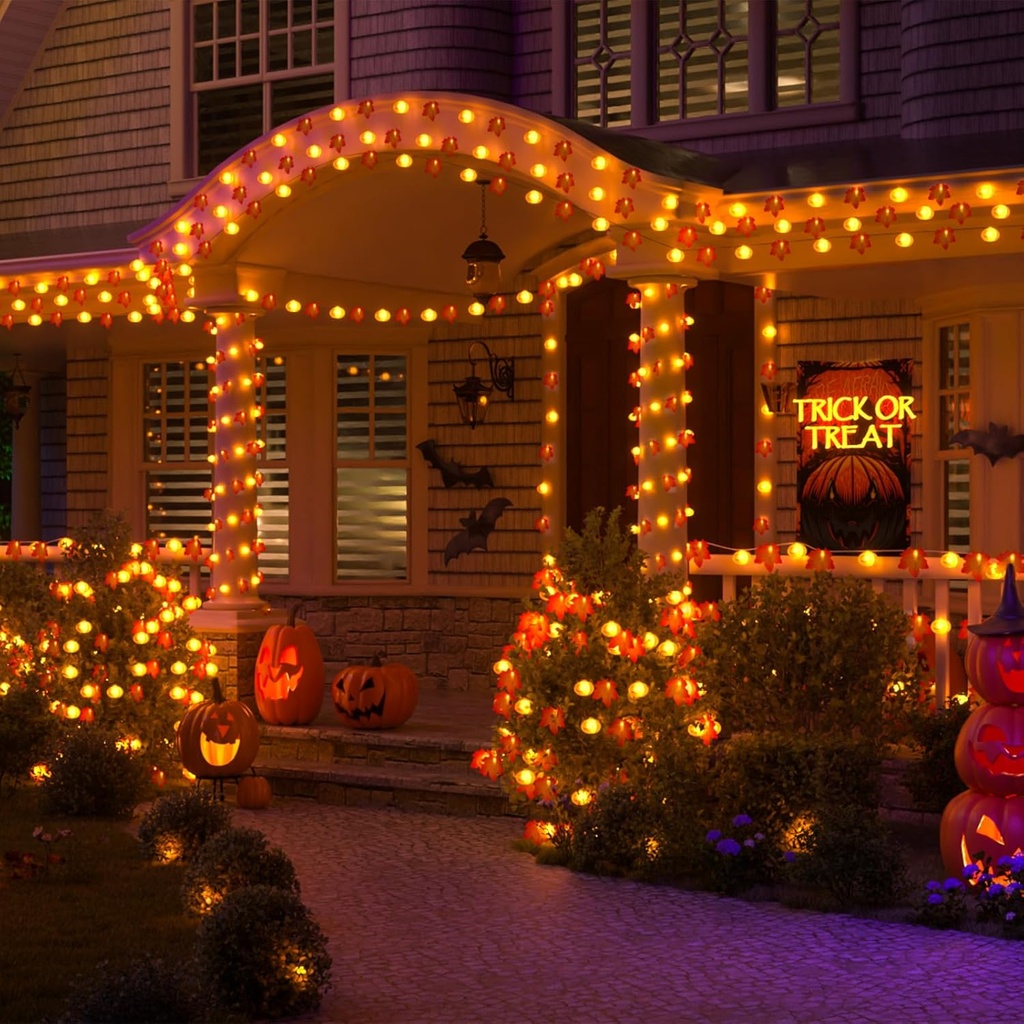 jackyled-halloween-string-lights-30-led--6.jpg