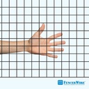 fencer-wire-hardware-cloth-with-1-inch-g-4.jpg