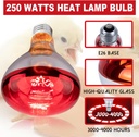 250-watt-heat-lamp-bulbs-for-chicks-r40--3.jpg