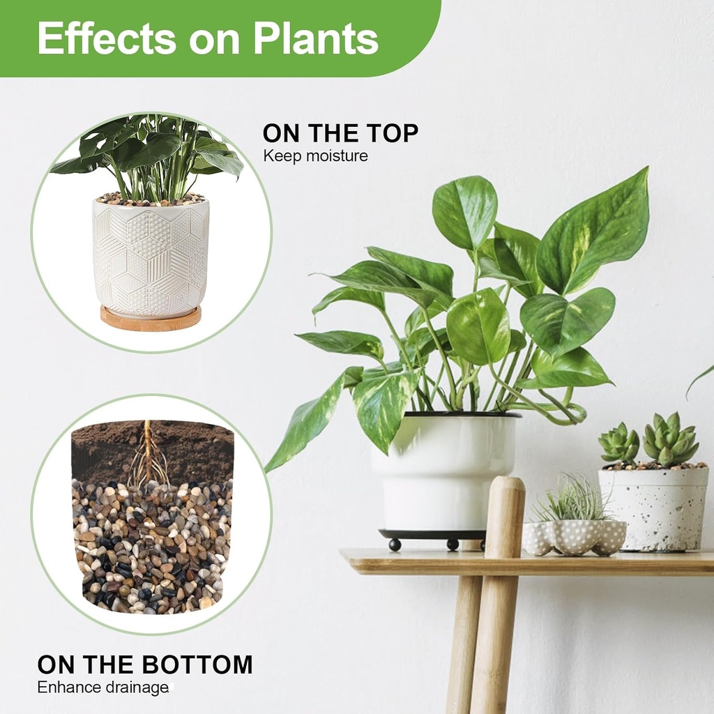 5-lbs-pebbles-for-indoor-plants-succulen-3.jpg