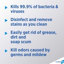 cloroxpro-clorox-clean-up-disinfectant-c-2.jpg