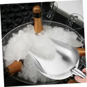pretyzoom-1pc-stainless-steel-ice-scoop--4.jpg