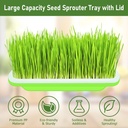 legigo-10-pack-green-seed-sprouter-trays-4.jpg