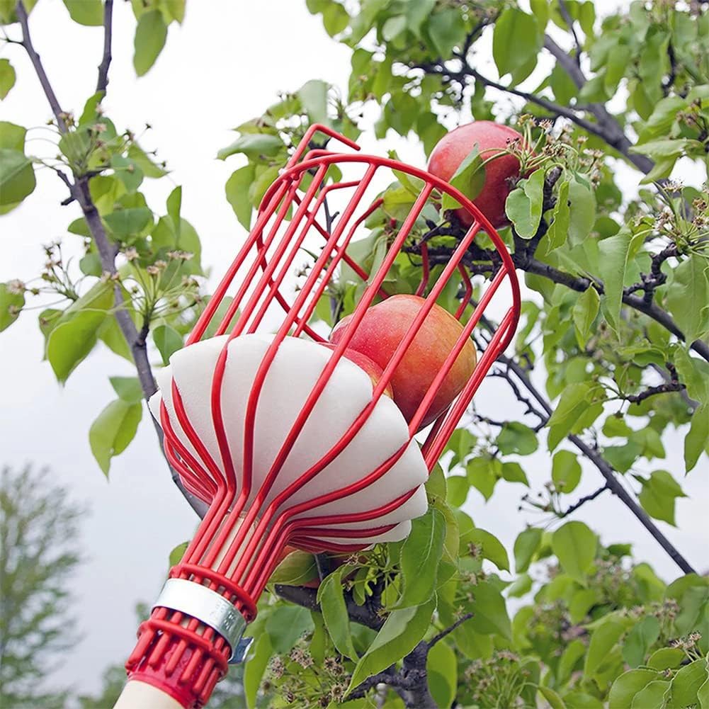 fruit-picker-8-ft-fruit-picker-pole-with-2.jpg