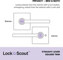 lock-scout-straight-lever-with-square-tr-2.jpg
