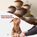 masteymoh-pet-food-scoop-2-cup-pack-of-3-5.jpg