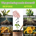 sukh-horticultural-charcoal-for-plants---4.jpg