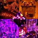 halloween-string-lights-end-to-end-plug--5.jpg