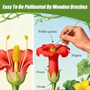 14-pack-pollination-brush-set-manual-pol-3.jpg