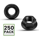 m6-x-10-flange-nut-250-pack-black-zinc-s-2.jpg