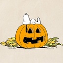 cafepress-snoopy-jack-o-lantern-reusable-2.jpg