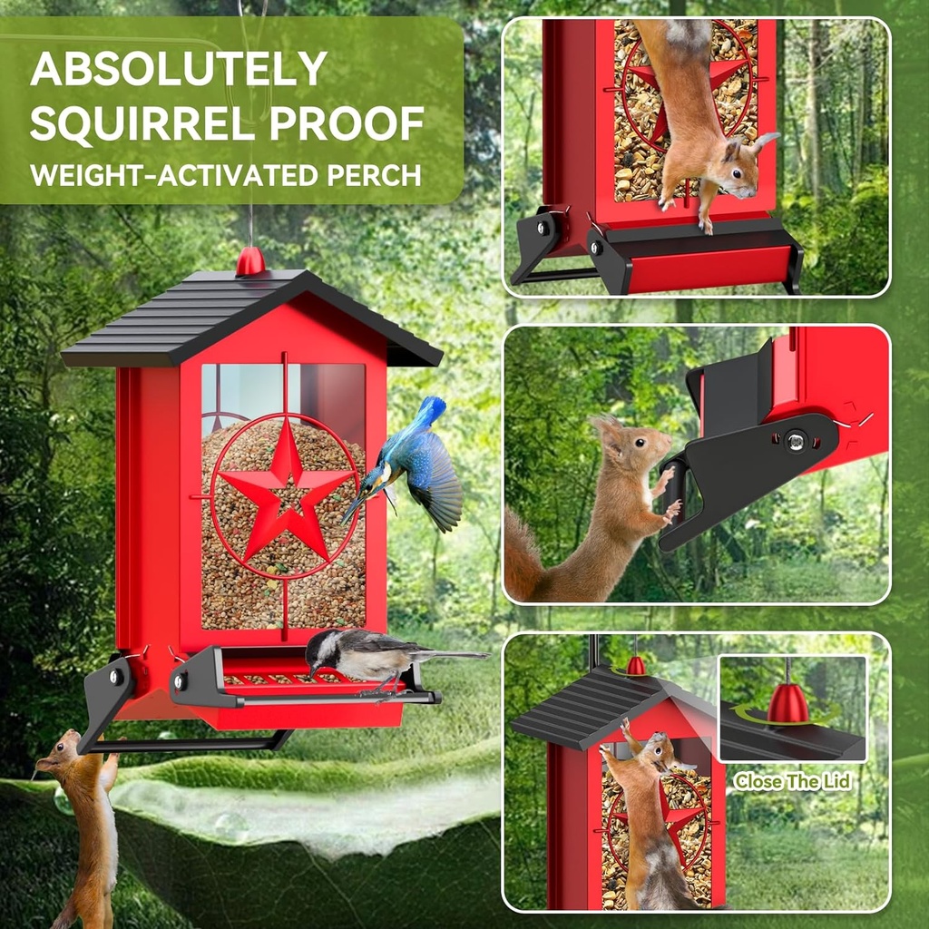 squirrel-proof-bird-feeder-for-outdoors--2.jpg