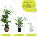 6-pack-plant-support-stakes-for-indoor-p-2.jpg